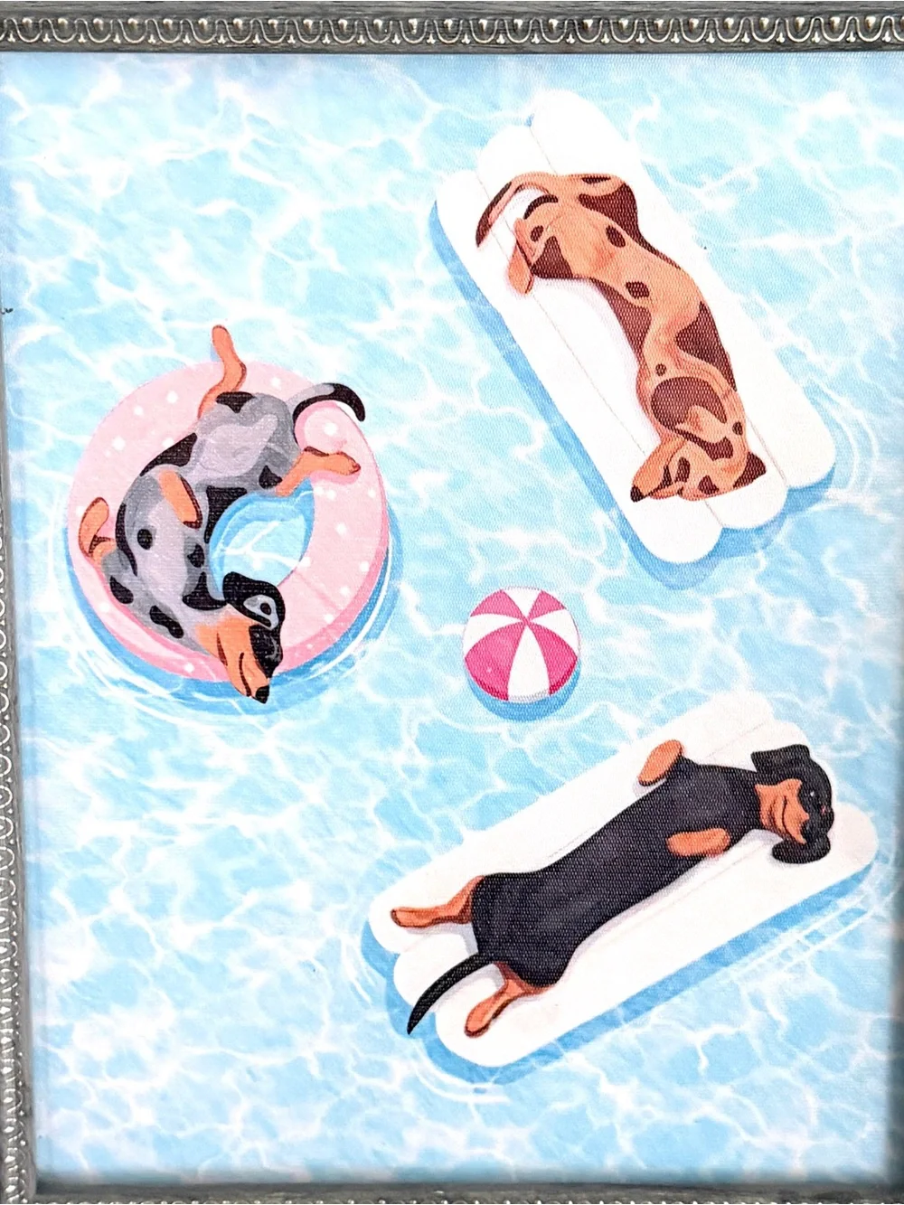 Dachshund Weiner Dogs on Pool Floats Summer Canvas Wall Art Print Gray Framed